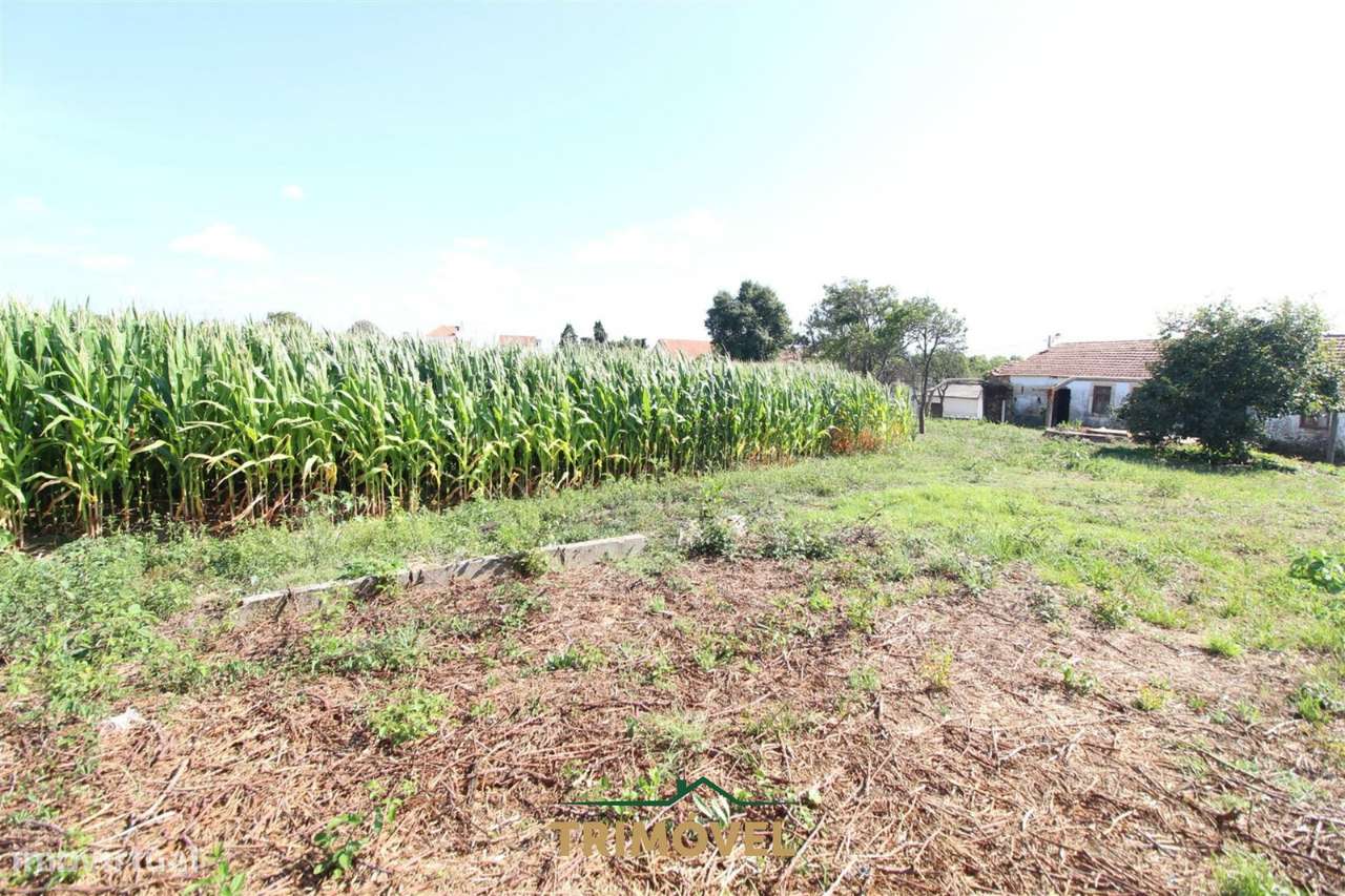 Terreno urbano com moradia antiga em Válega, Ovar-15