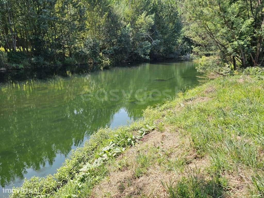 Terreno com 2.100 m2, confronta com rio Alva com boas acessibilidades - Grande imagem: 3/18
