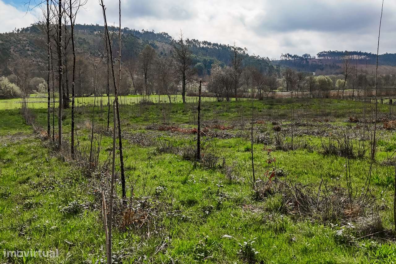 Terreno Rústico  Venda em Associação de freguesias do Vale do Neiva,Po-20