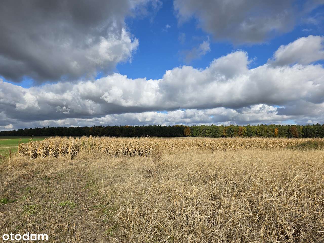 Działka budowlana MN_niezakłócony widok na las_światłowód-0
