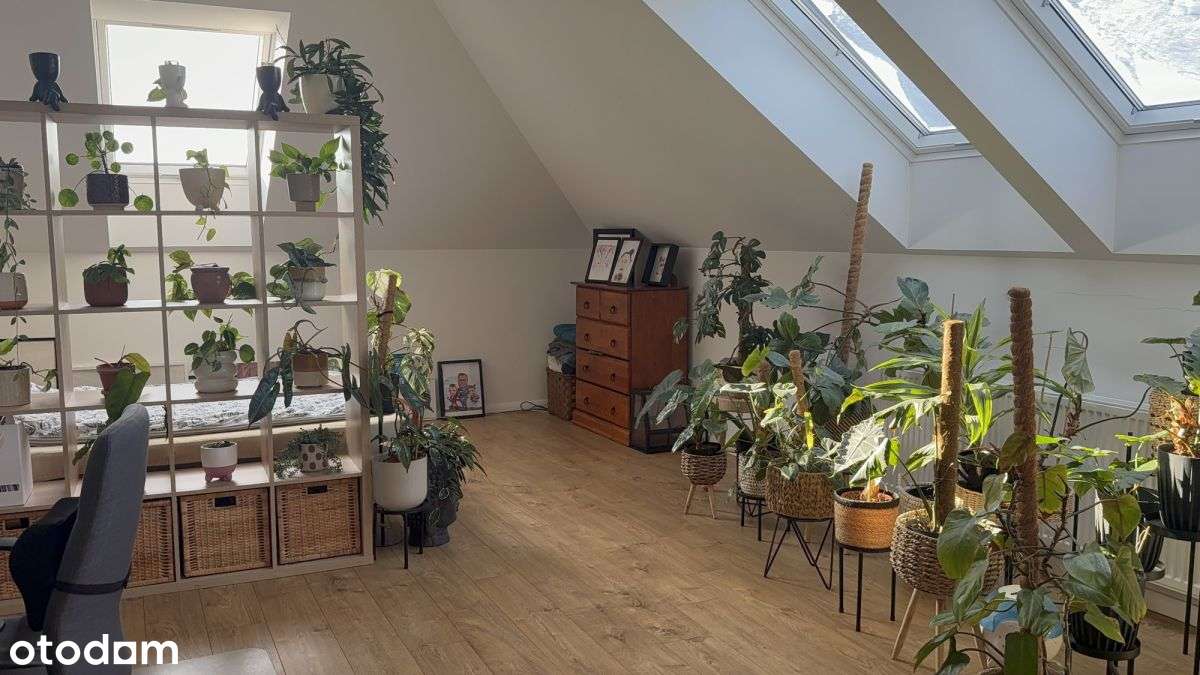 wolnostojący / las / cisza / fotowoltaika / klimat-17