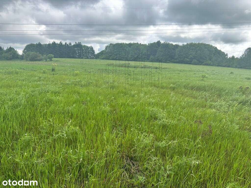 Podzamcze-działki w sąsiedztwie Zamku Ogrodzieniec-13