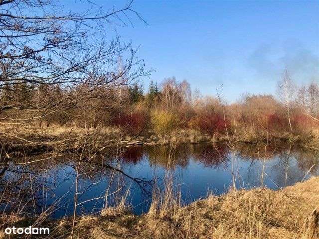 Działka ze stawem w Tuszynie. - Pełny obrazek: 5/7