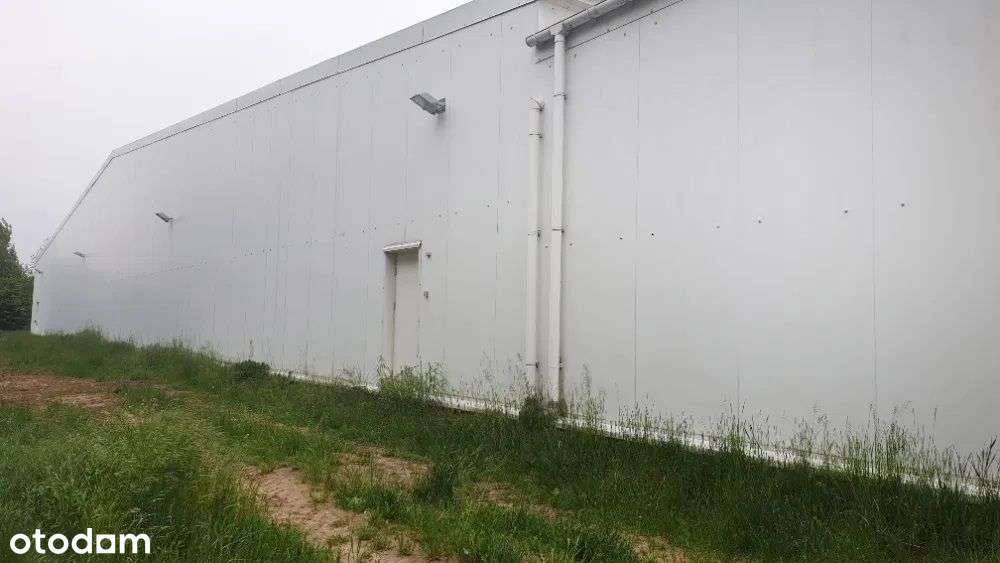 Obiektu magazynowo z 2 rampami rozładunkowymi + ra - Pełny obrazek: 4/4