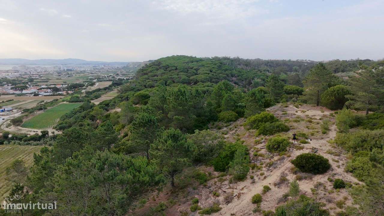 Terreno Rústico com Vista Mar e Potencial Ecológico-21