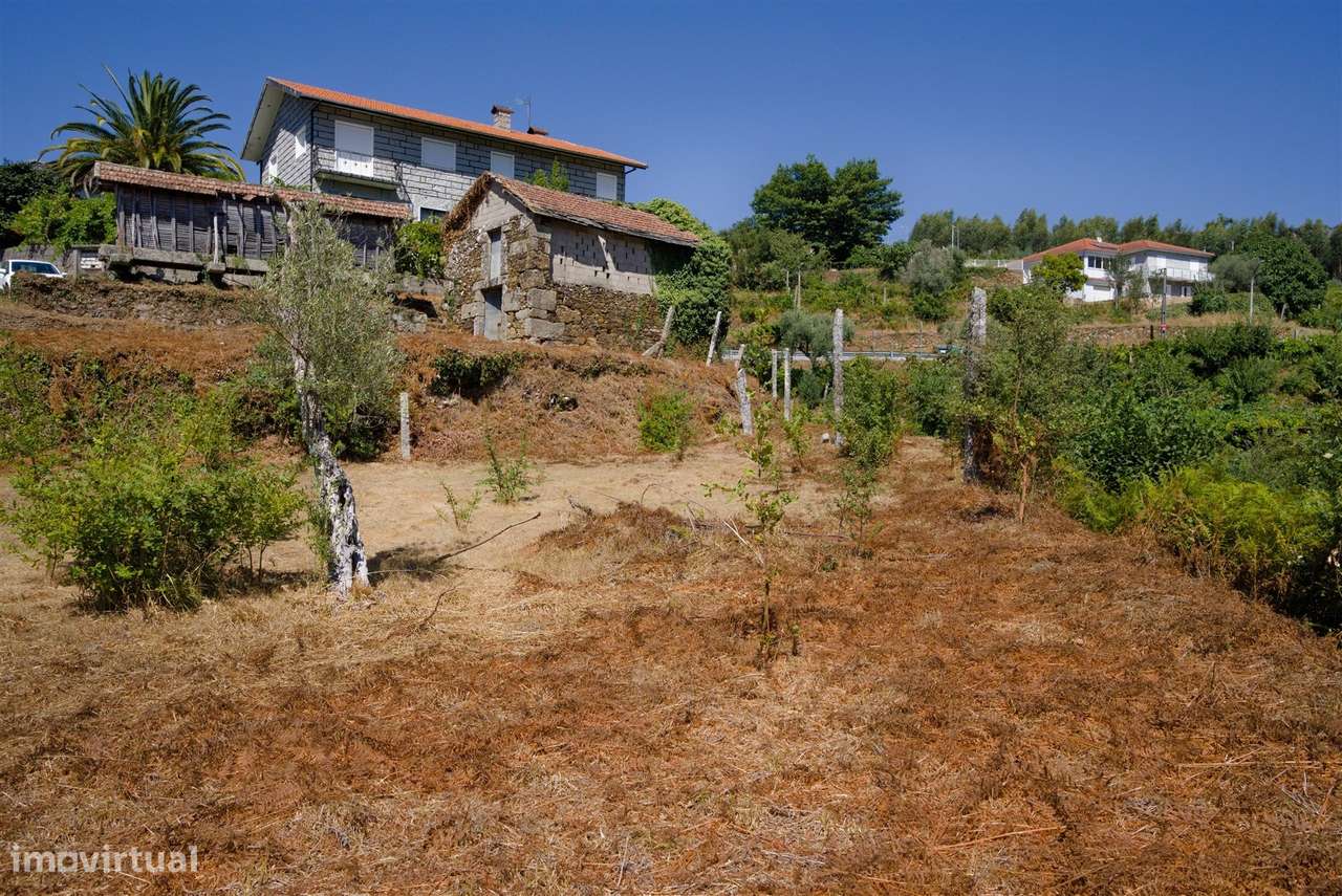 Terreno  Venda em Real,Castelo de Paiva-2