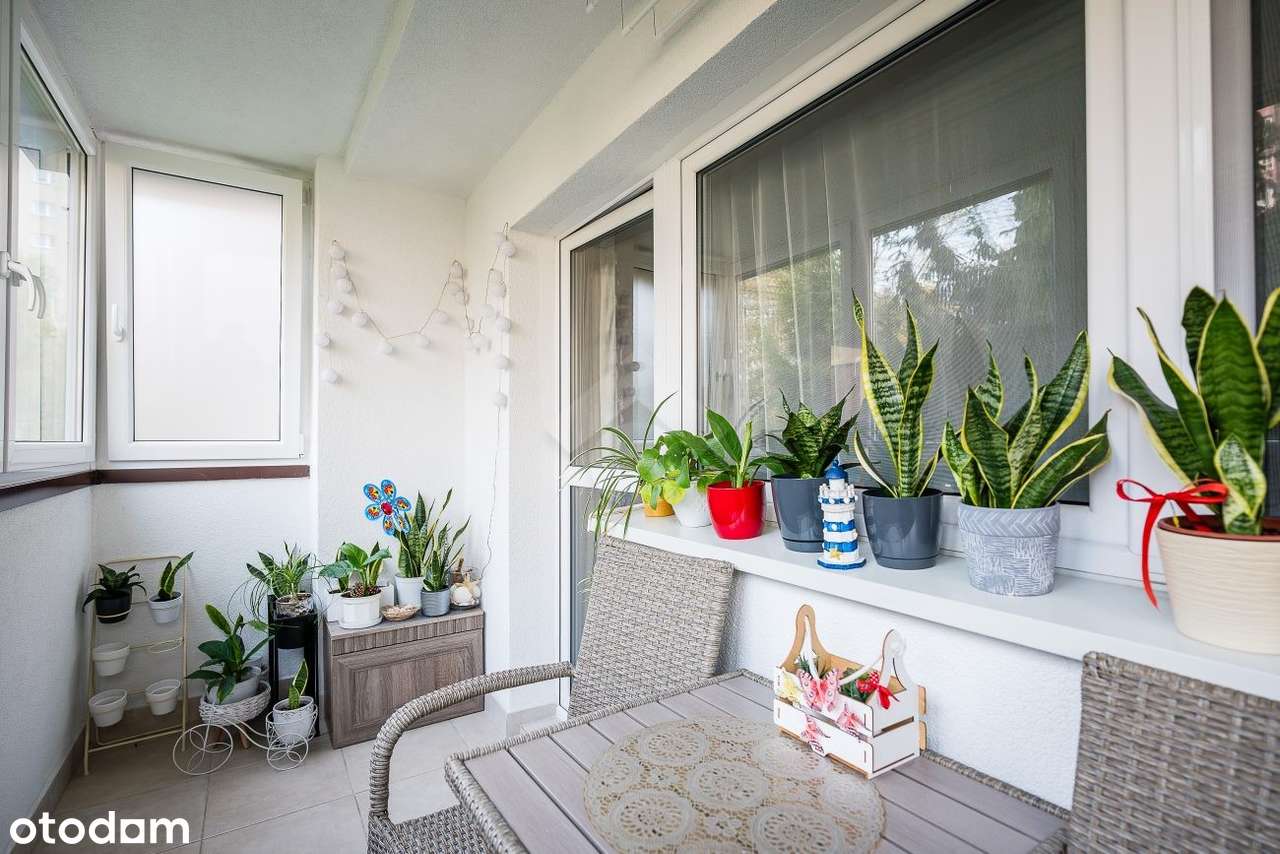 Przestronna kawalerka - Ruczaj - ul. Miłkowskiego - BALKON - Pełny obrazek: 5/12