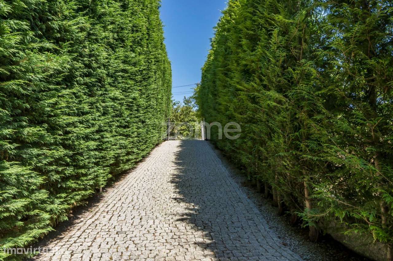 QUINTA T3 COM PISCINA EM BAIÃO - Grande imagem: 5/60