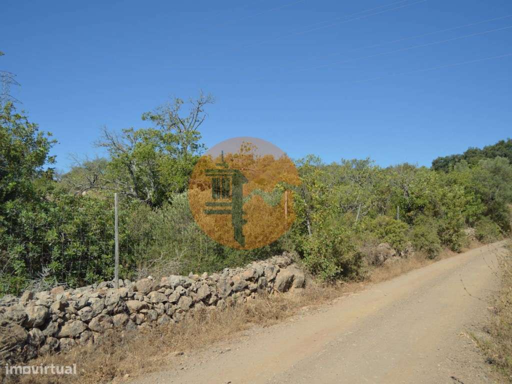 Terreno Rústico Desbarato, Santa Catarina da Fonte do Bispo - Grande imagem: 3/19
