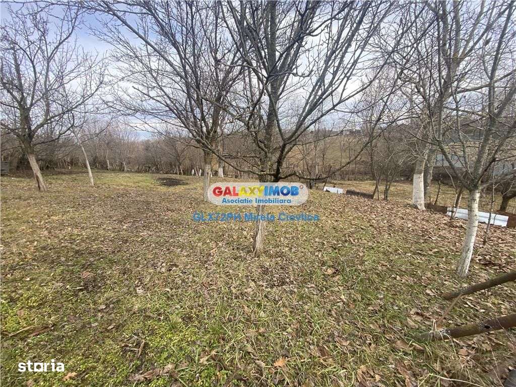 Vanzare casa Baicoi Prahova zona Dambu - Imagine principală: 4/14