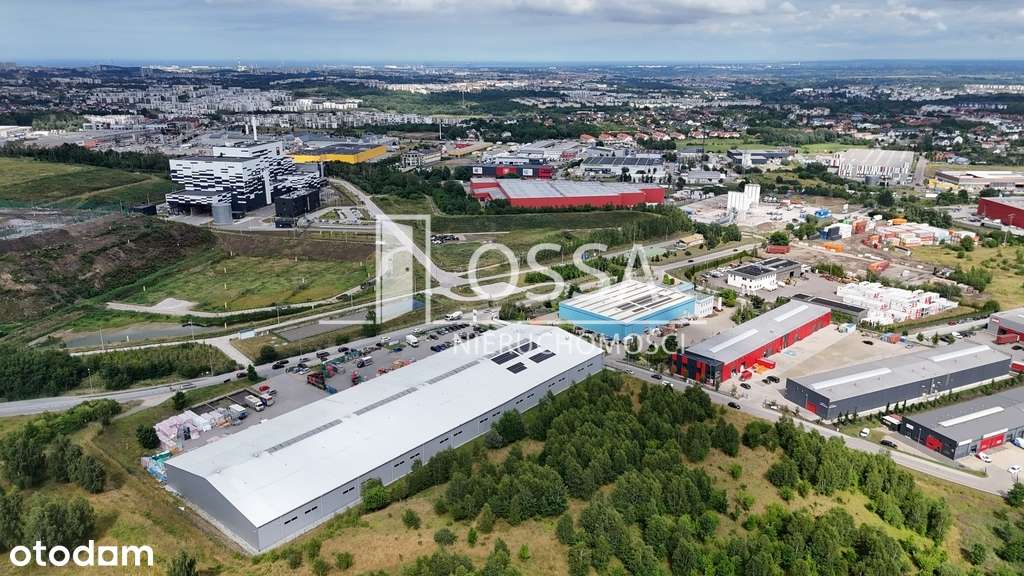 Magazyn 1500 - 4500 m² | Pierwsze 2 msc gratis - Pełny obrazek: 3/12