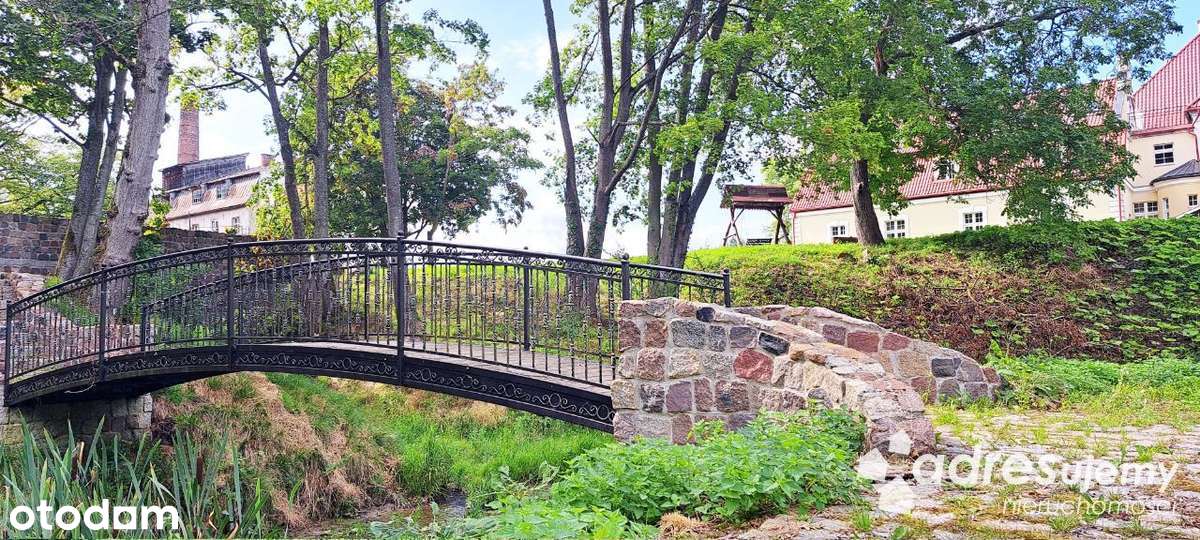 Zespół pałacowo - parkowy nad morzem! adresujemy - Pełny obrazek: 5/20