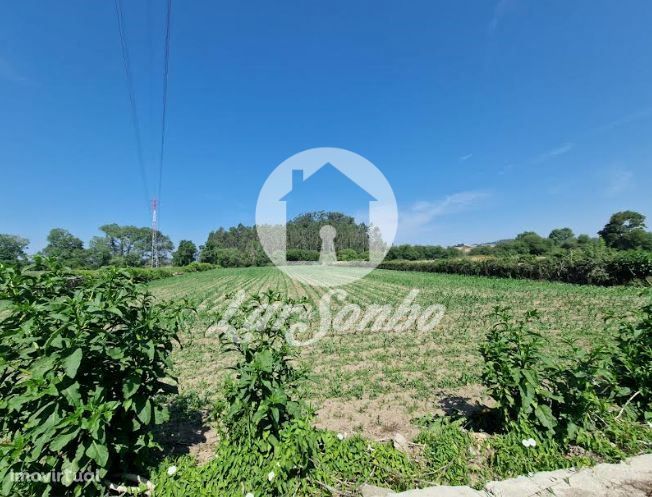 Terreno agrícola de 12.000m2 em Tougues - Vila do Conde