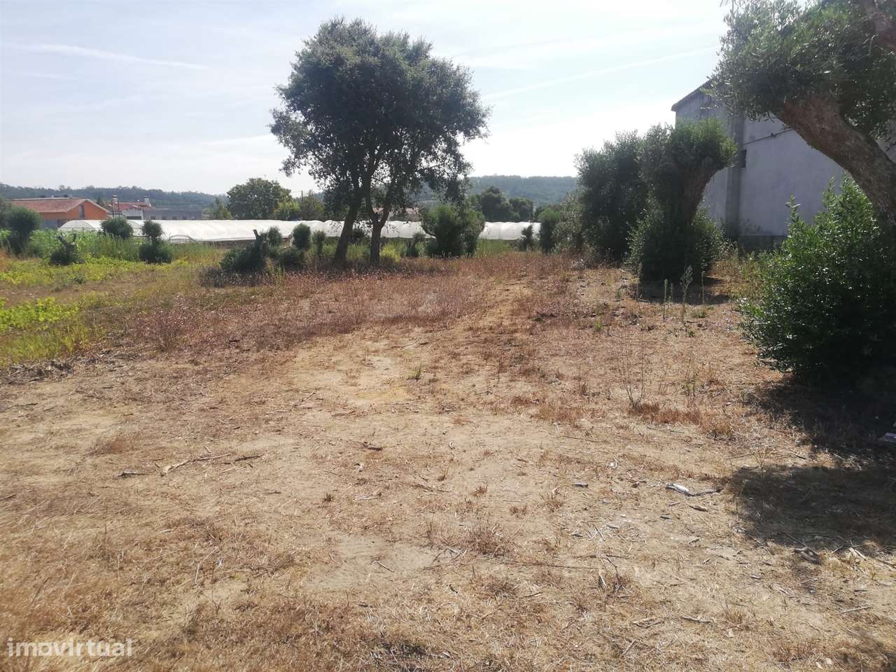 Terreno Ortigosa - Grande imagem: 3/5