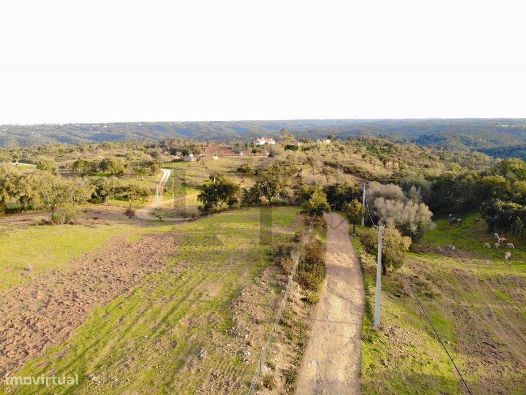 Terreno com 2,15 Hectares com Ruina na Serra de Grândola / Melides-3