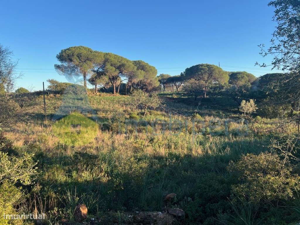 TERRENO VISTA FABULOSA A SUL - 5.240(m2) A 1KM DE TUNES GARE - Grande imagem: 3/33