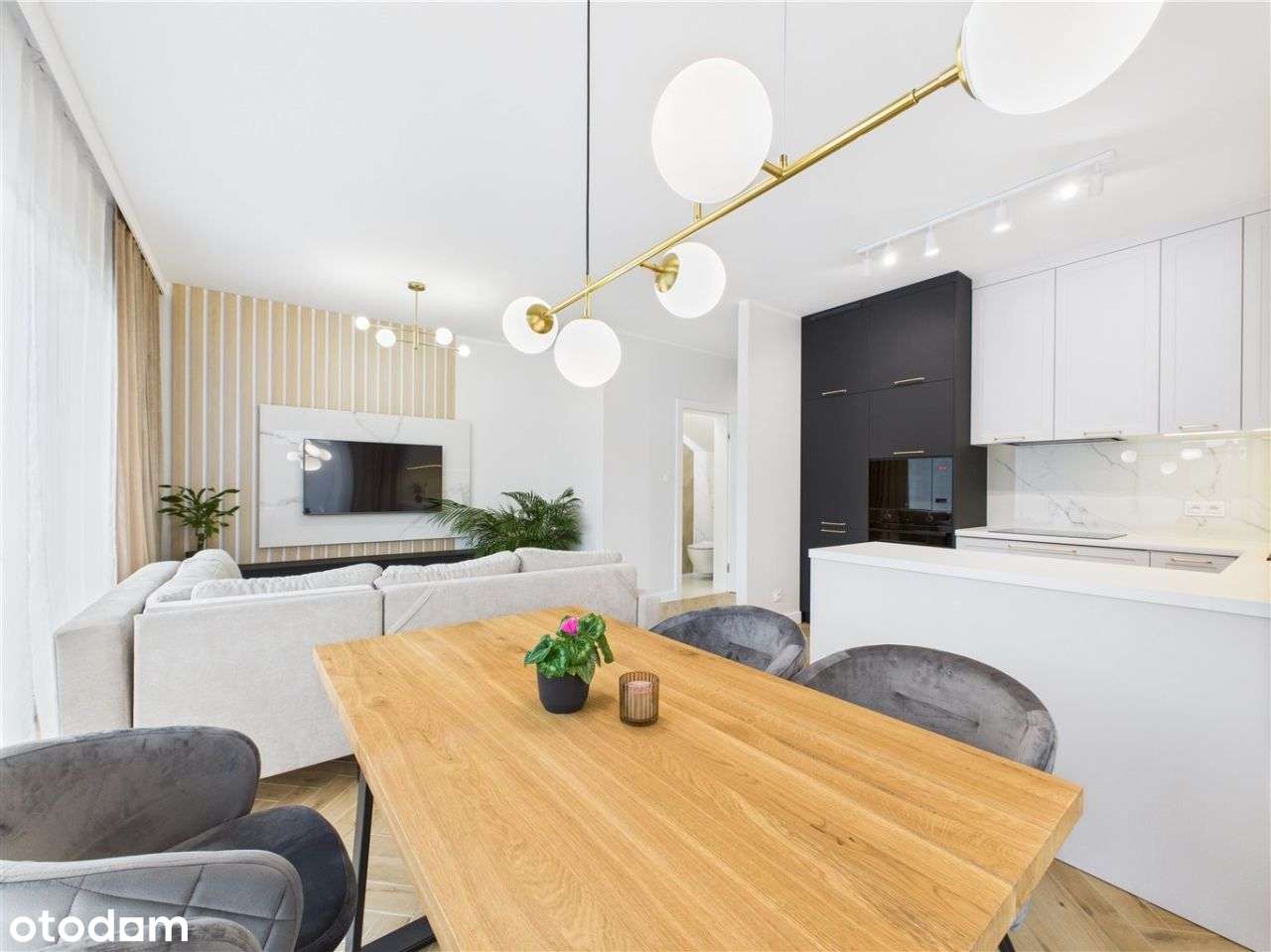 Zostań Pierwszym Najemcą! - Pełny obrazek: 4/20