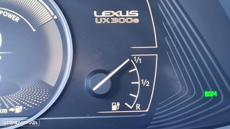 Lexus UX 300e Luxury - 25