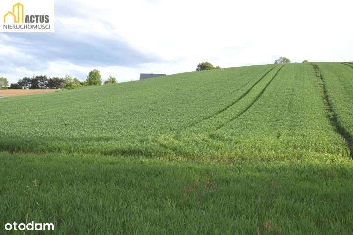 Nieruchomość 1,32 ha Stręgoborzyce-9