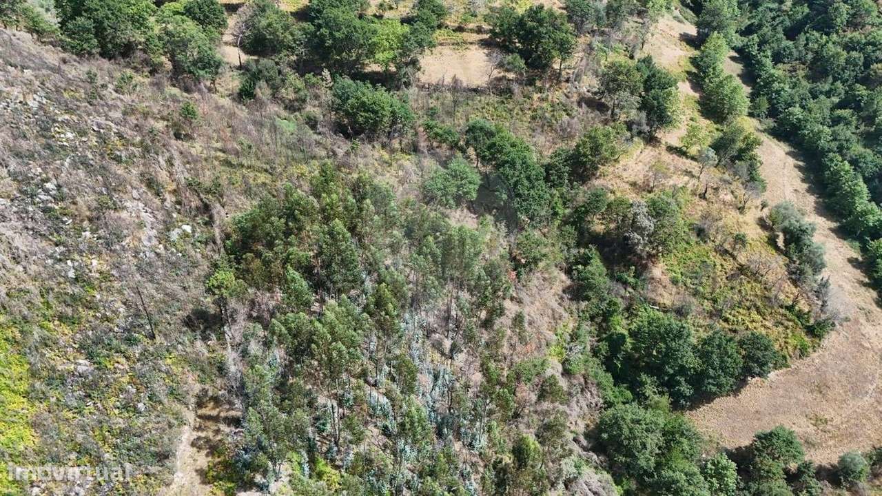 Terreno  para venda - Grande imagem: 3/5