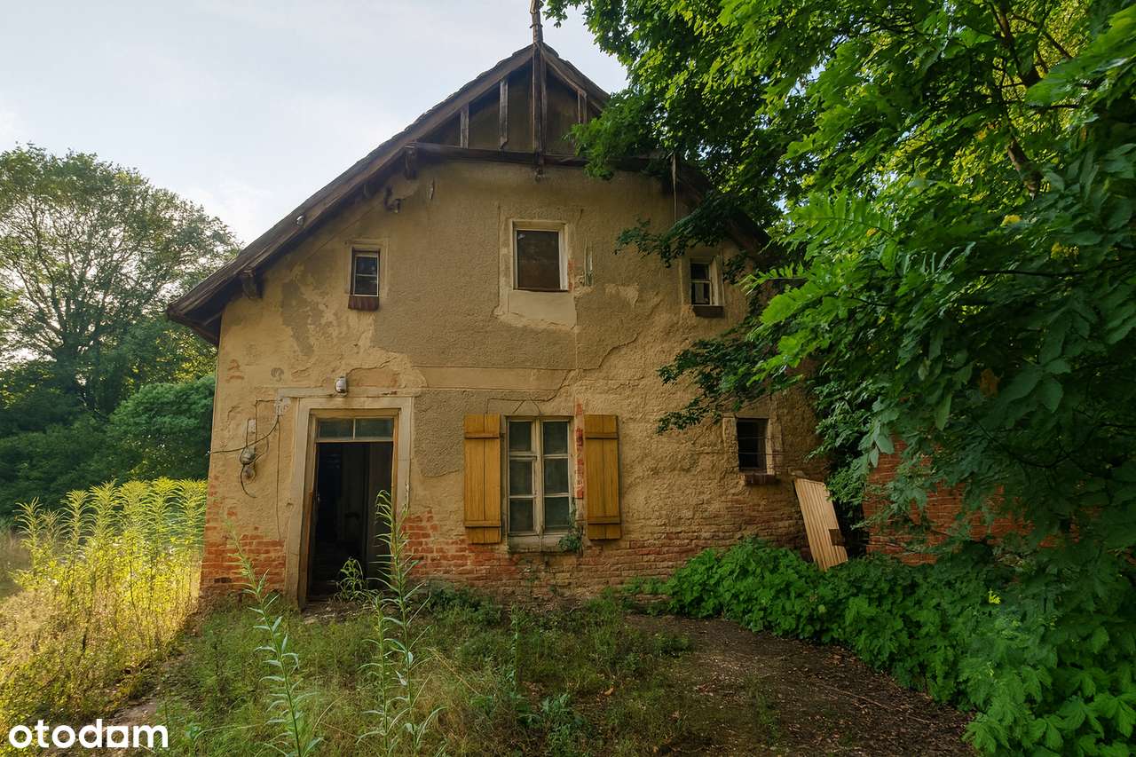 Twój azyl pod lasem – UNIKALNA działka z potencjałem w Wierzonce-3