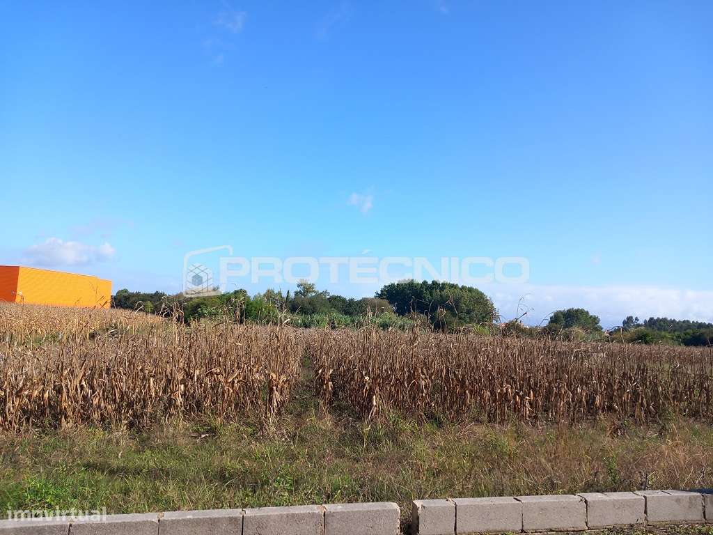 Terreno p/ construção – Oliveirinha - Grande imagem: 2/5