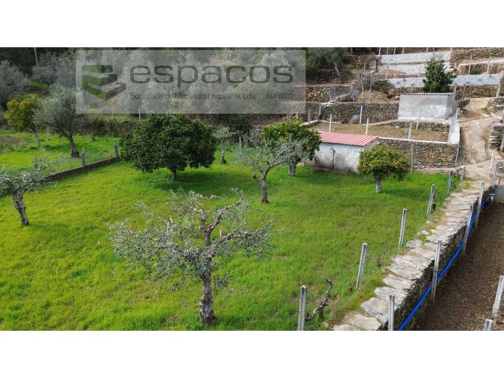 Quintinha - Grande imagem: 4/48