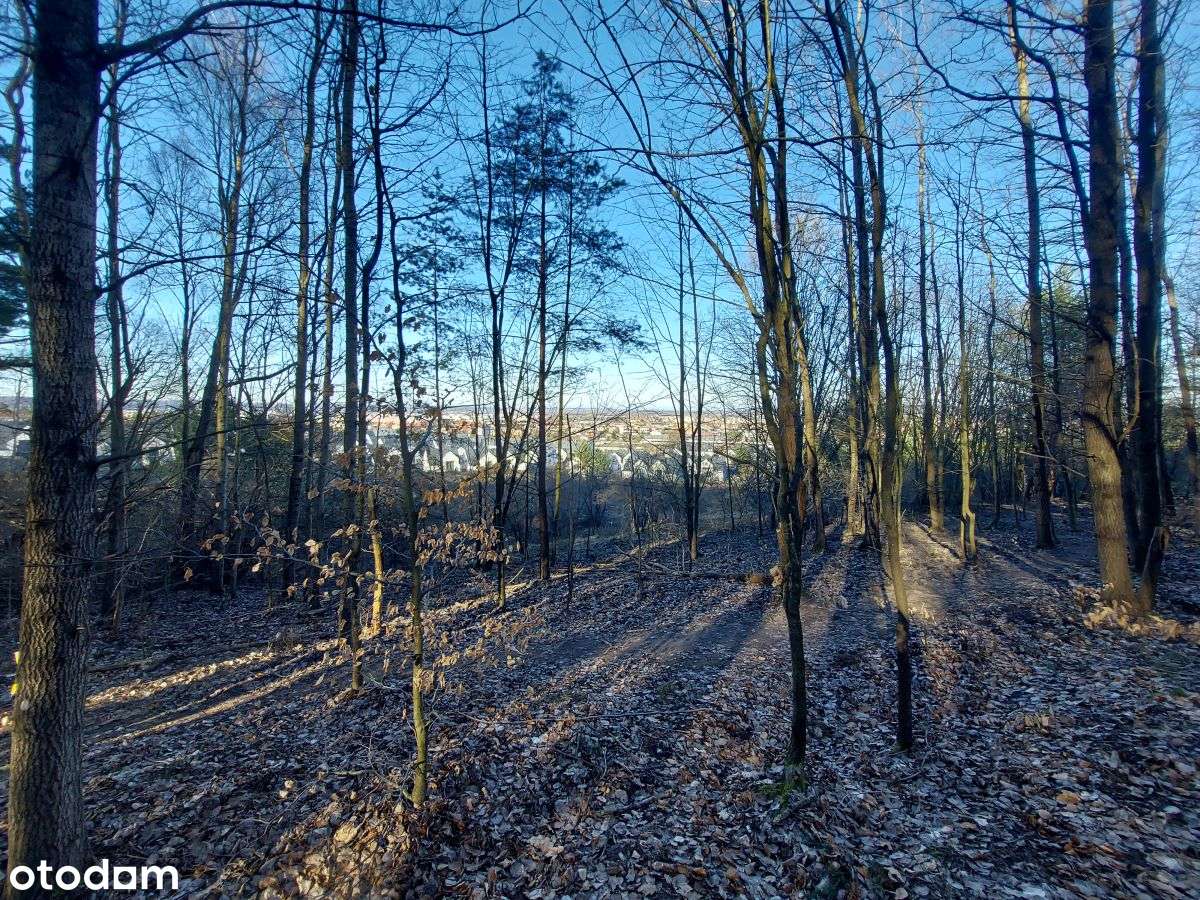 Atrakcyjna działka budowlana w Rumi-17