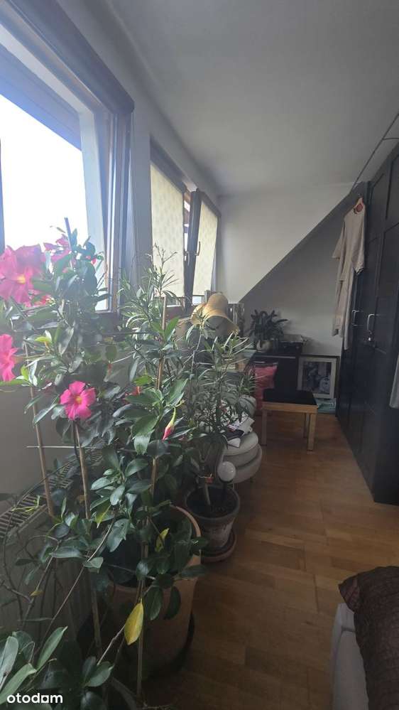 Bliźniak na sprzedaż-15