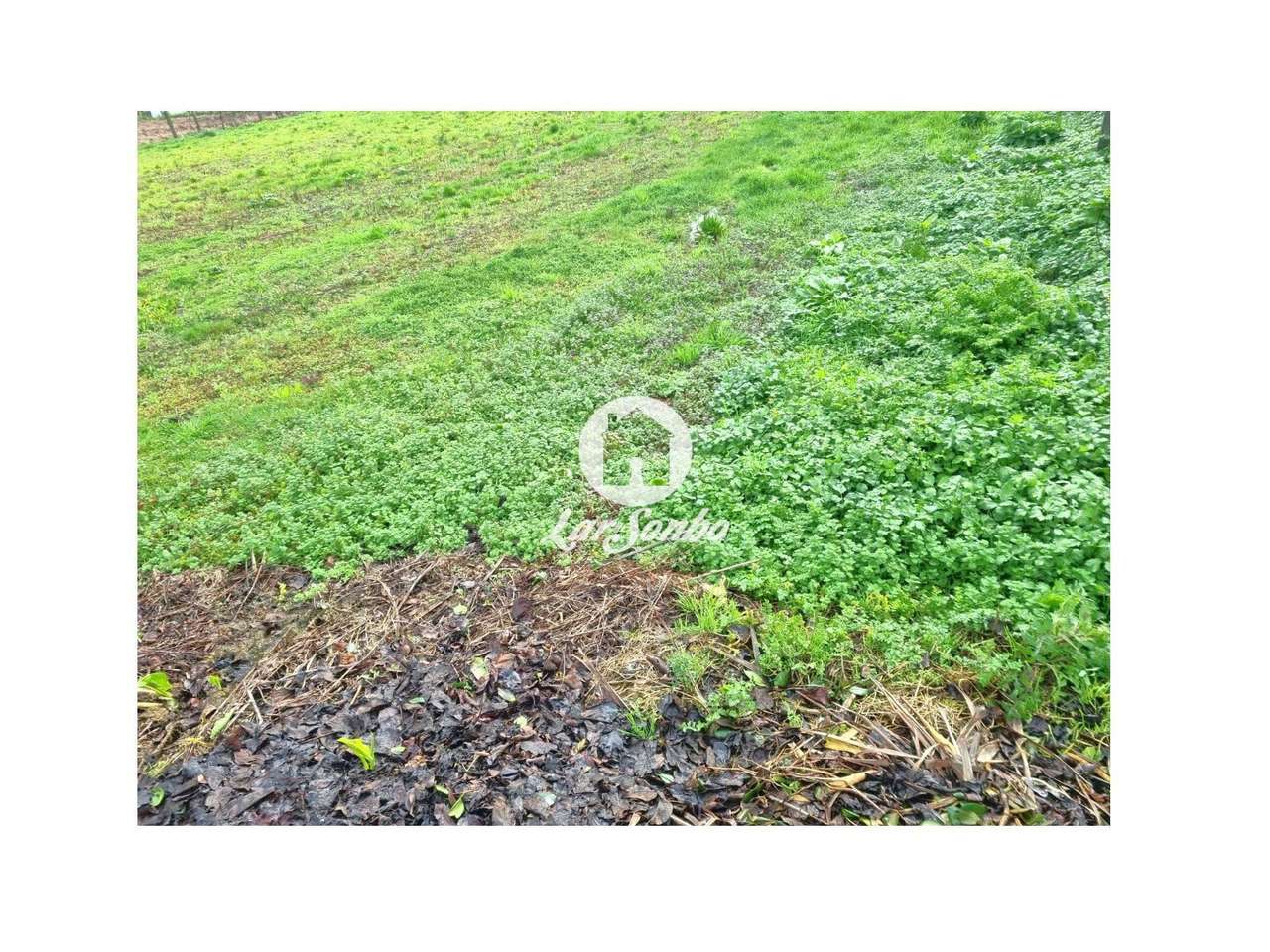 Excelente terreno em Esposende para Construção de Moradias-10