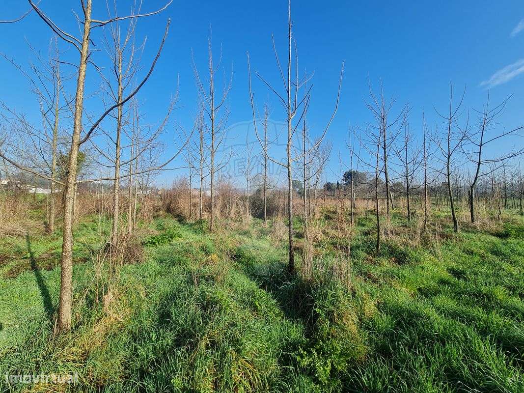 Terreno  para venda - Grande imagem: 3/6