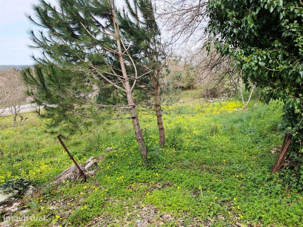 Terreno Urbano Venda Leiria-4