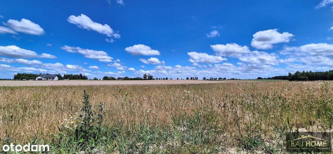 Rogóźno , działka na sprzedaż-2