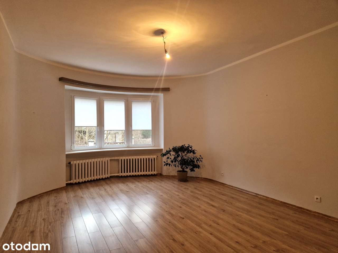 Miła, Ogrody, Dom Wolnostojący - Pełny obrazek: 4/11