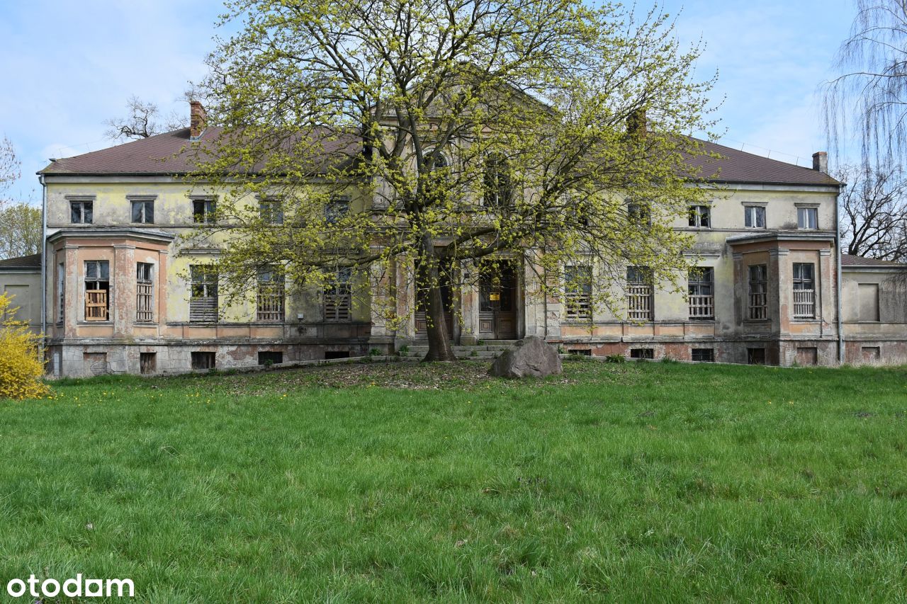 Pałac neoklasyczny położony w parku