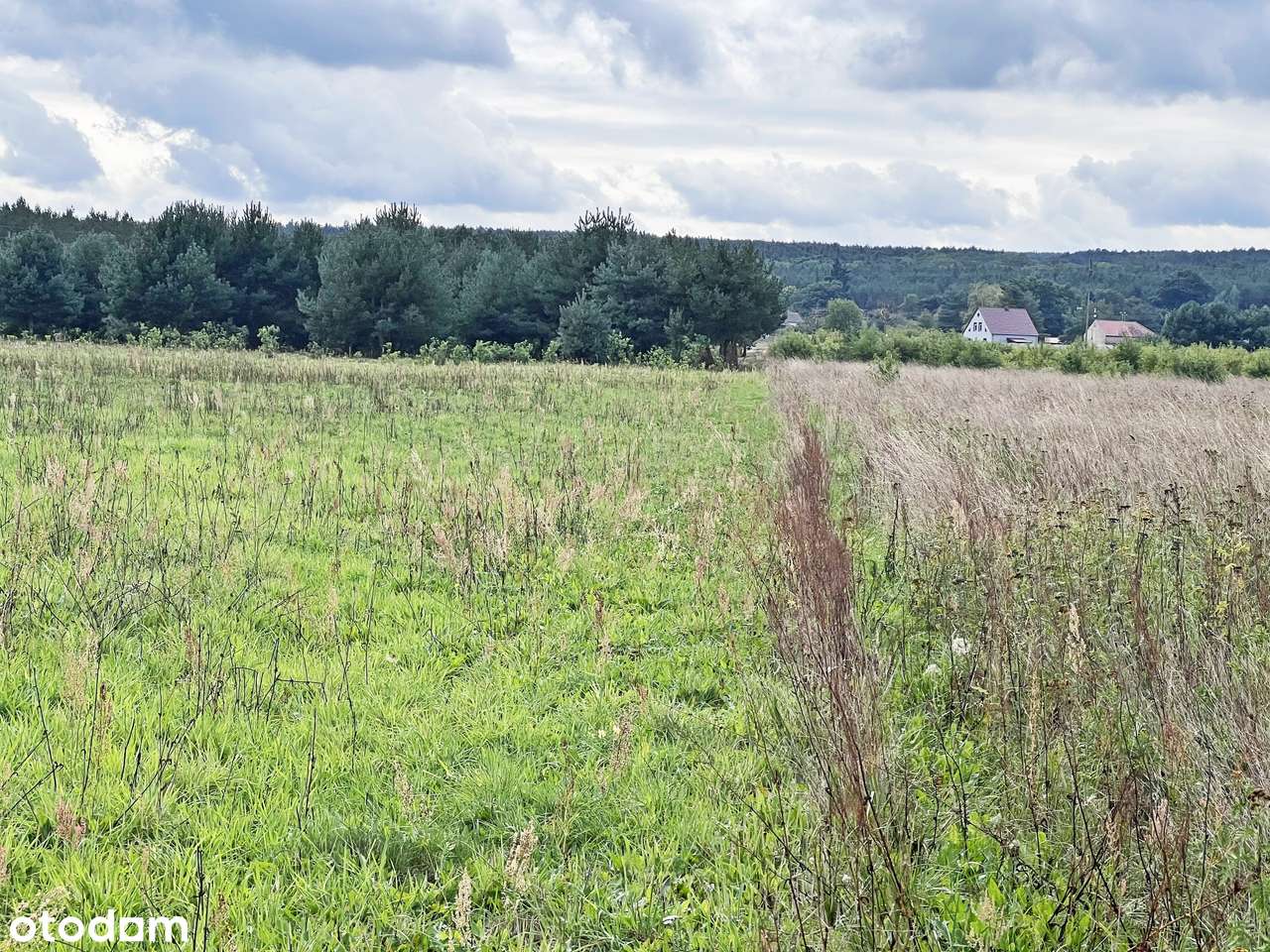 Wyłączność najtańsze działki z WZ w Z.Górze-4