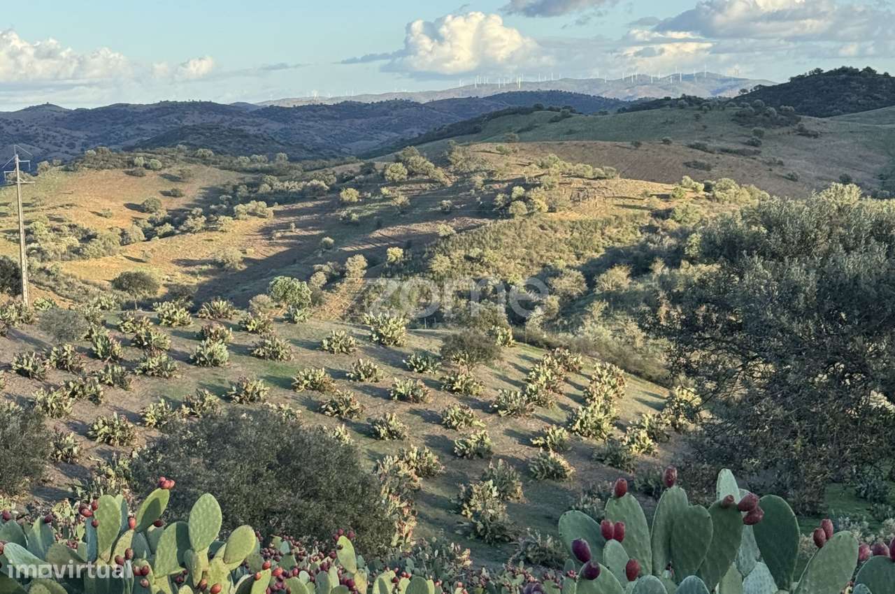 Herdade Vale do Guadiana 25HA-14