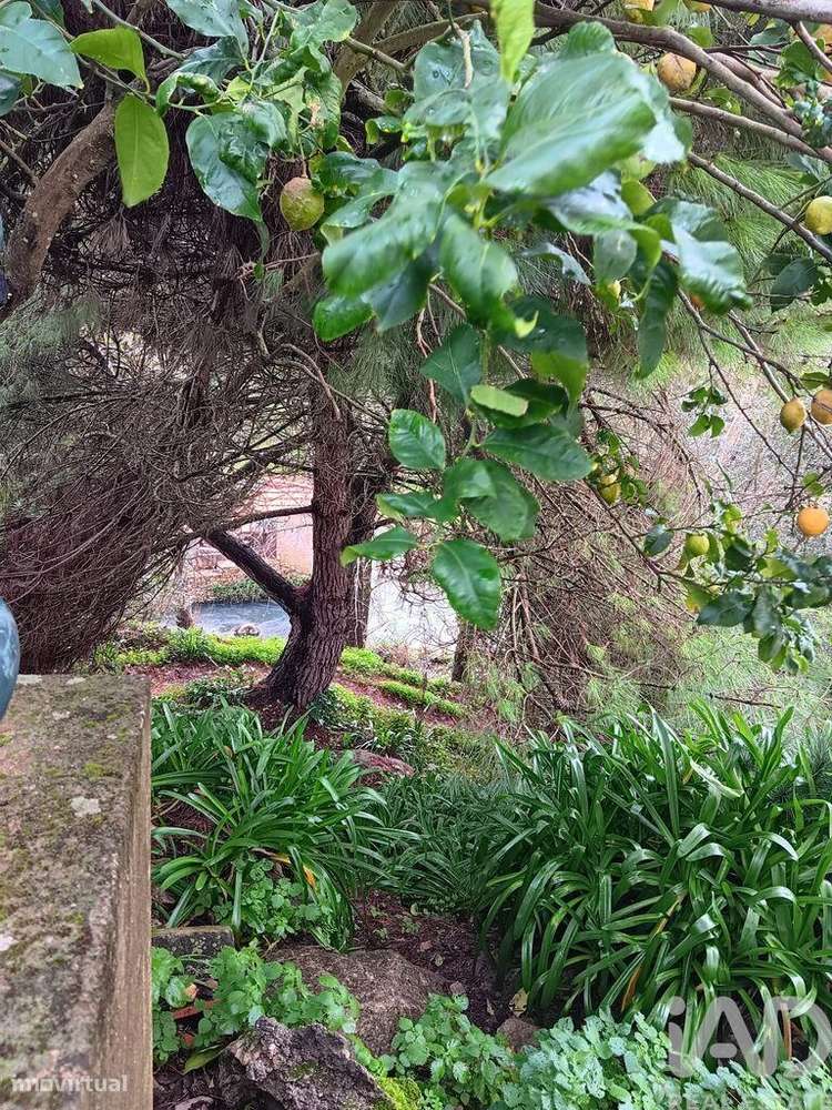 Casa T4 em Aljubarrota de 4807,00 m2 - Grande imagem: 3/17