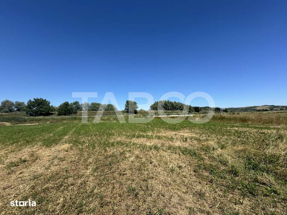 Comision 0% Teren intravilan 2000 mp cu utilitati zona Oltului Fagaras - Imagine principală: 5/5