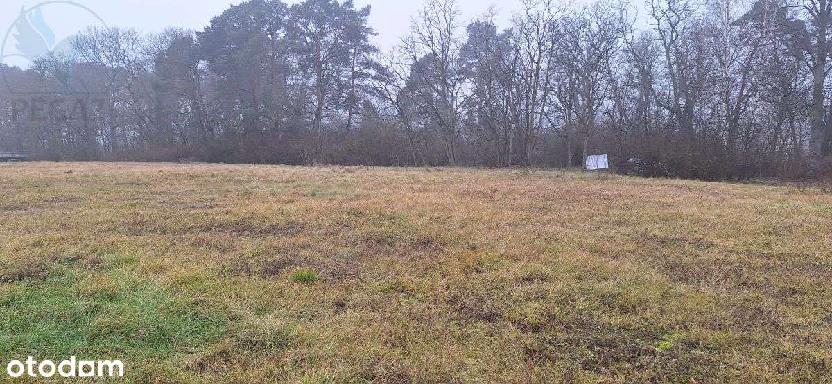 Działka Budowlana Szumiąca, Super inwestycja-3