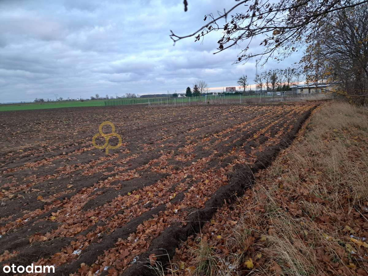 Piękne miejsce na nowy dom - Pełny obrazek: 5/7