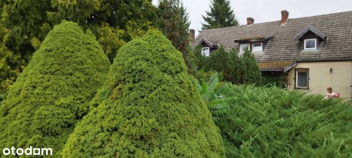 Siedlisko urocze gospodarstwo agroturystyczne-3