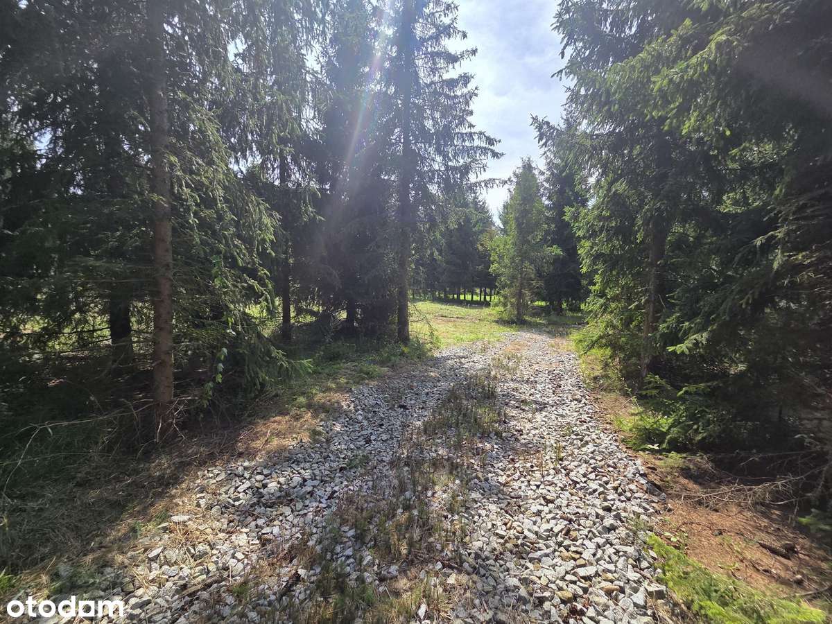 Działka budowlana w Zawoni, 30 km od Wrocławia-3