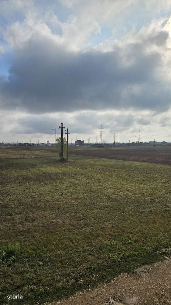 Teren Comercial 12000 mp Centura Oradiei-Nufaru ,8000mp Betonat-FIRME--4