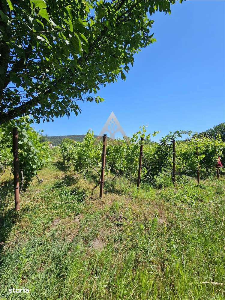 TEREN INTRAVILAN DEVANZARE 33161 MP DE VANZARE TARGU OCNA - Imagine principală: 4/20