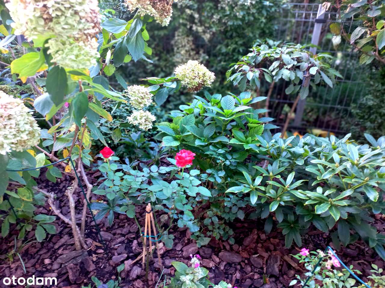 2 pokojowe z ogródkiem na os. zamkniętym + komórka + garaż-1