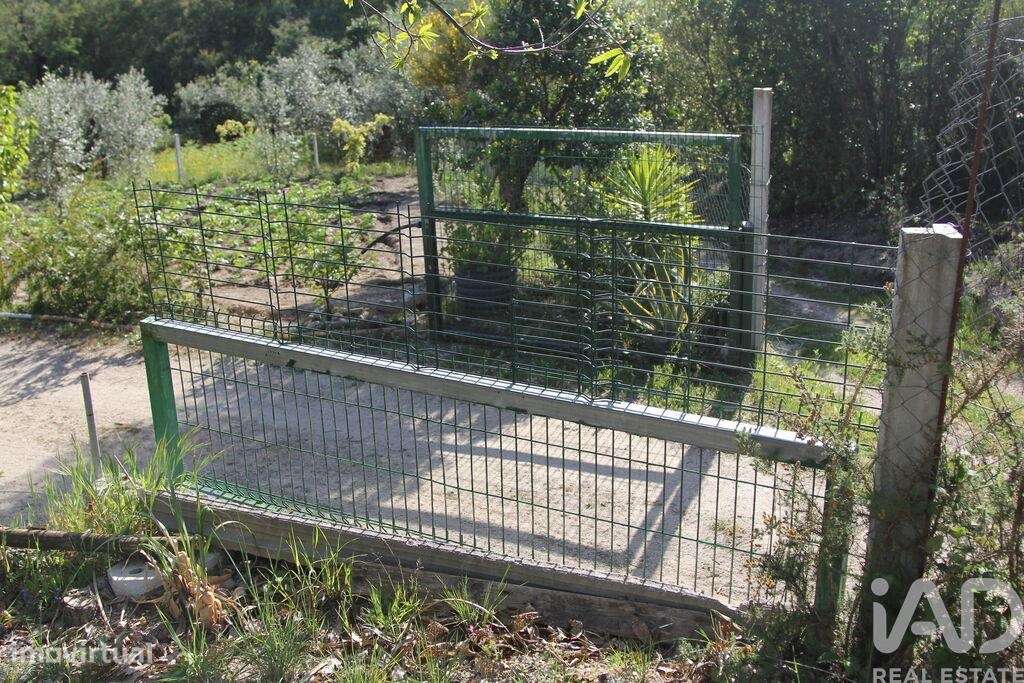 Terreno Agrícola em Oliveira do Hospital e São Paio de Gramaços-5