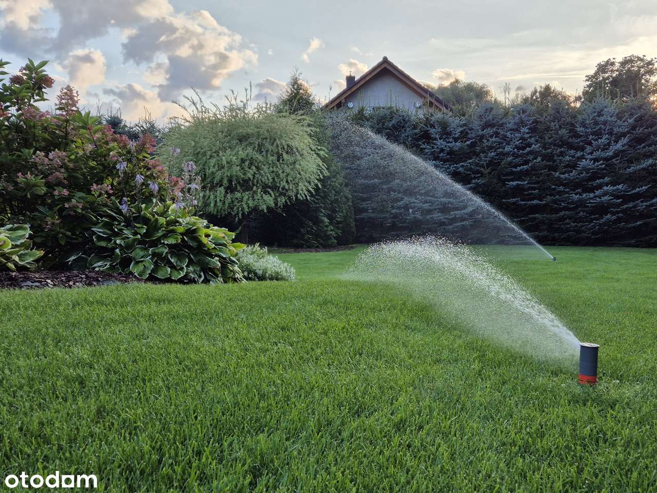 Dom w pięknej okolicy - Pełny obrazek: 4/20