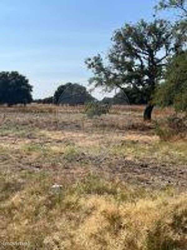 Terreno  para venda-8