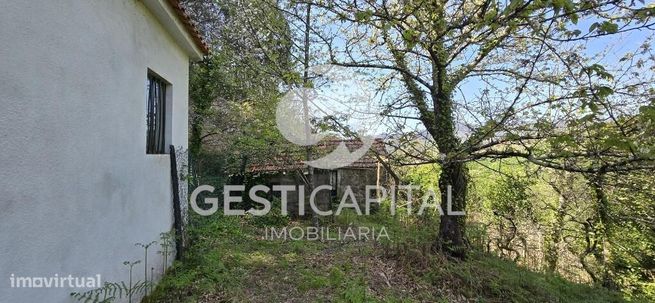 Oportunidade Única: Quinta para Habitação, Turismo ou Agricultura em M-43